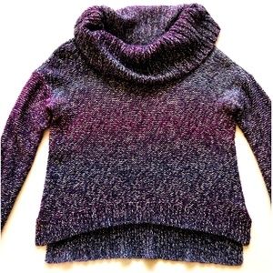 American Eagle Outfitters Purple Sweater